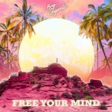Big Gigantic Releases New Studio Album FREE YOUR MIND