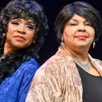 Black Theatre Troupe Presents BLUES IN THE NIGHT
