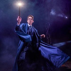 HARRY POTTER AND THE CURSED CHILD Sets 2024 House Pride Nights