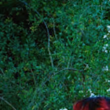 THE LINDA LINDAS Share BLOOD ON OUR HANDS, Set Fall Tour From Sept 16