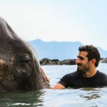 Radar Heads Into the Jungle with First Reality Development SO YOU WANNA SAVE THE PLAN