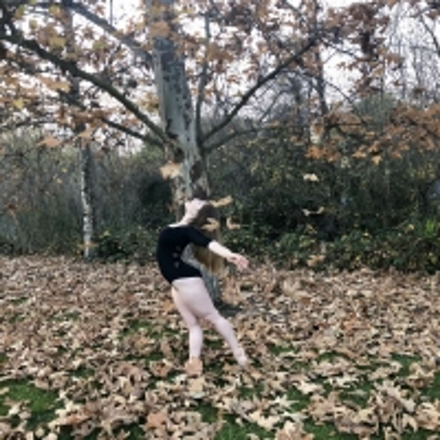 Student Blog: Am I Really as Brave as Everyone Thinks I Am?