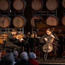 Kate Suthers Announced As New Coriole Music Festival Artistic Director