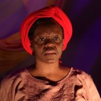 Angela Polite's MARY SPEAKS Announced At 10th Annual Key Bank Rochester Fringe…