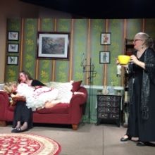 The Wild Women Take The Stage In Brighton Michigan