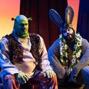 Review: SHREK THE MUSICAL Turns the Swamp into a Spectacle at Massey Theatre