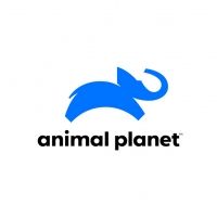 Animal Planet to Debut COYOTE PETERSON: BRAVE THE WILD on February 9