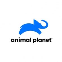 Animal Planet to Debut COYOTE PETERSON: BRAVE THE WILD on February 9