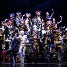 Review: CATS at Minneapolis' Orpheum Theater