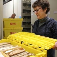 Songbook Foundation Selected To Continue National Museum Assessment Program