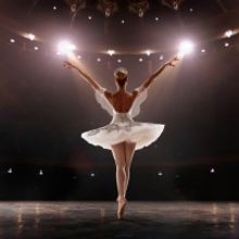 German Ballet Director Suspended After Assaulting Critic With Dog Feces