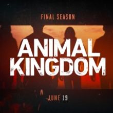 TNT Announces ANIMAL KINGDOM Sixth & Final Season Premiere Date