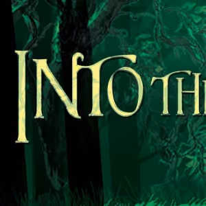Dallastown Area High School To Go INTO THE WOODS This Spring