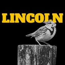 LIGHTNING THIEF Composer Rob Rokicki Releases New Single “Lincoln”