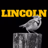 LIGHTNING THIEF Composer Rob Rokicki Releases New Single “Lincoln”