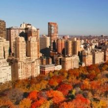 BWW Blog: The Best Macy's Thanksgiving Day Performances