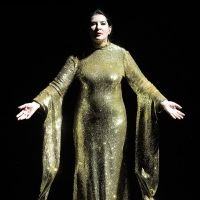 The ENO Will Present 7 DEATHS OF MARIA CALLAS in November, Starring Marina Abramović