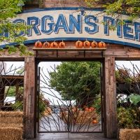 Morgan's Pier to Present Fall Fest on the Waterfront with Pumpkin Carving, Fall…