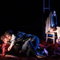 Review: THE HOOVES BELONGED TO THE DEER at Tarragon Theatre
