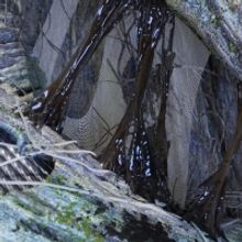 Ninajirachi Drops Double-Sided Single 'Petroleum / Hidden Land'