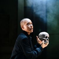 BWW Review: HAMLET, Young Vic