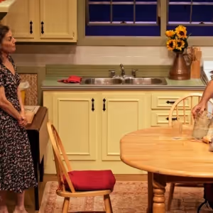BWW Review: Luminous Production of FIREFLIES Opens Good Theater Season