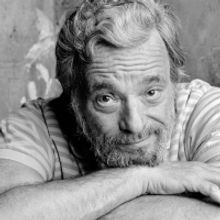 SONDHEIM X SONDHEIM. QUE PASSIN ELS PALLASOS se representará en Girona en diciembre