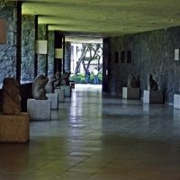 La Escuela Nacional De Pintura, Escultura Y Grabado La Esmeralda Continúa Con El…