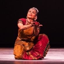 Twin Cities Dance Productions Move Outdoors This Summer