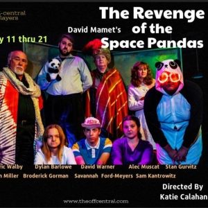 Review: David Mamet's REVENGE OF THE SPACE PANDAS OR BINKY RUDICH AND THE TWO SPEED…