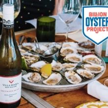 Villa Maria Announces Corporate Sponsorship of NYC's Billion Oyster Project