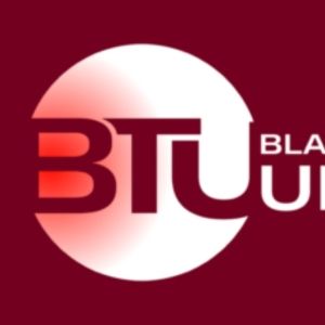 Black Theatre United Announces Fourth Broadway Marketing Internship Program