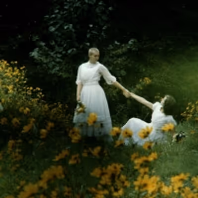 BWW Feature: ONLINE VIRTUAL OPERA TOUR No. 41 at Home Computer Screens