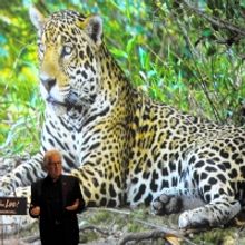 Alberta Bair Theater Kicks Off Nat Geo Speaker Series With ON THE TRAIL OF BIG CATS 