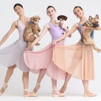 Review: GRACE TO THE RESCUE Was a Night Celebrating Love, Animals, and Dance Photo