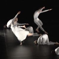 VIDEO: First Look At Trisha Brown Dance Company's 50th Anniversary Season at The…