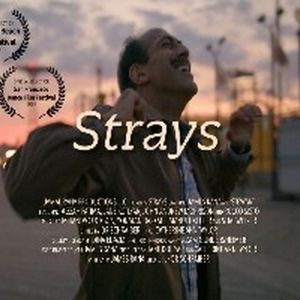STRAYS To Premiere As Part of New York Shorts International Film Festival