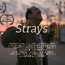 STRAYS To Premiere As Part of New York Shorts International Film Festival