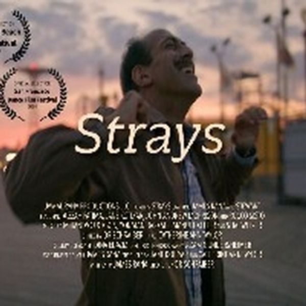 STRAYS To Premiere As Part of New York Shorts International Film Festival Photo