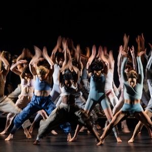 Review Roundup: BLACK SWAN Opens at American Repertory Theater