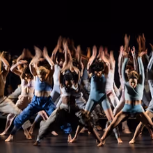 Review Roundup: BLACK SWAN Opens at American Repertory Theater