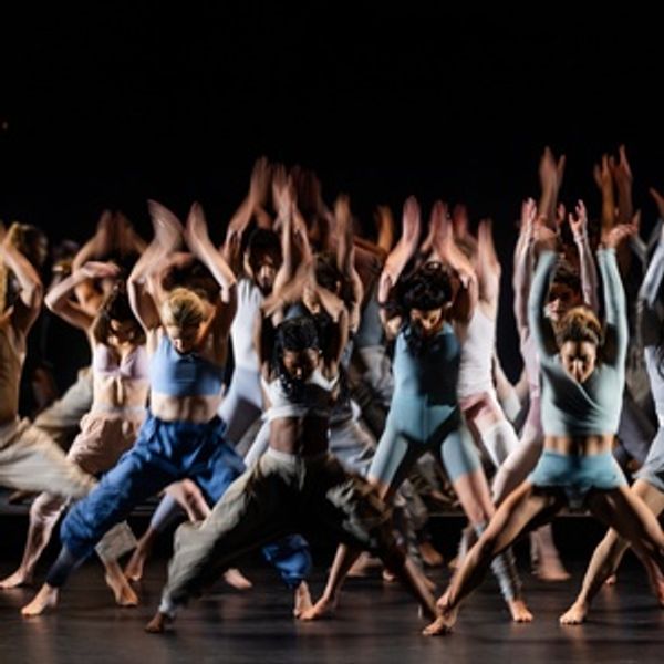 Review Roundup: BLACK SWAN Opens at American Repertory Theater Photo