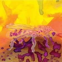 Interact Will Temporarily Close Beginning Wednesday March 18