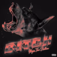 Megan Thee Stallion Unleashes New Track 'B.I.T.C.H'   ​ ﻿ 