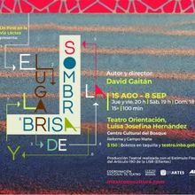 El Azar, La Honorabilidad Y El Humor Se Funden En Una Extraña Competencia En El Luga