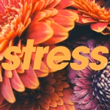 Tycho Releases the STRESS EP