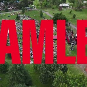 Video: HAMLET at St. Louis Shakespeare Festival