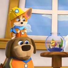 Disney Jr.'s PUPSTRUCTION Season 2 Premieres in October
