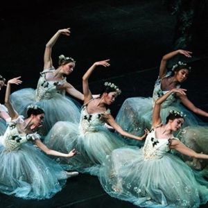 National Ballet of Canada Announces Lead Cast for GISELLE Interview