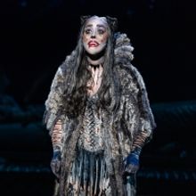 The Granada Theatre to Present CATS in October